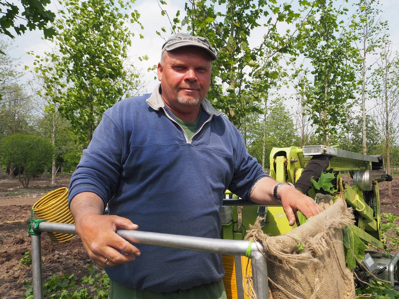 Jobs Gärtner Arbeiten in der Baumschule